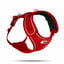 Curli - Harnais Belka Air-Mesh en Rouge pour Chien - S Indicateur image numéro 1
