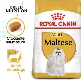 Royal Canin - Croquettes Maltese Adult Bichon Maltais pour Chiens - 1,5Kg