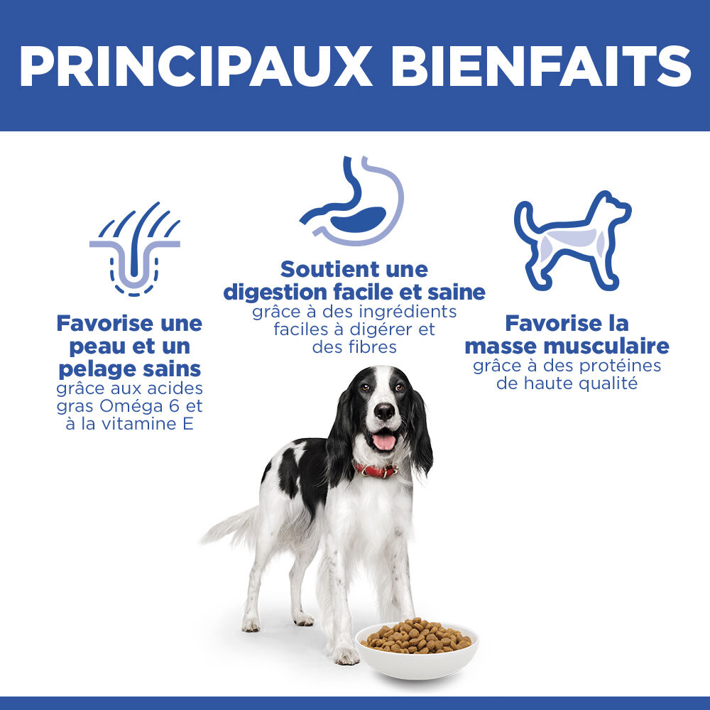 Hill's Science Plan - Croquettes Adult  Medium Au Poulet pour Chiens -  2,5kg Image num&eacute;ro 4