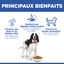 Hill's Science Plan - Croquettes Adult  Medium Au Poulet pour Chiens -  2,5kg Indicateur image num&eacute;ro 4