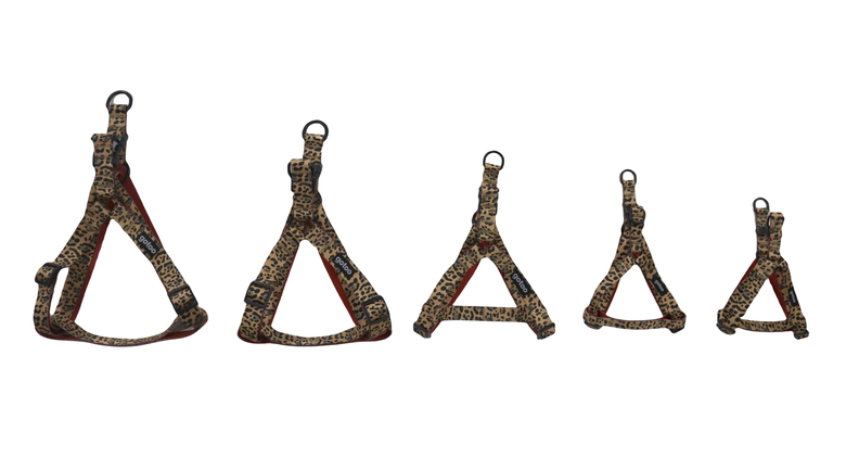 Gotoo - Harnais Léopard pour Chien - XS Image numéro 5 Gotoo - Harnais Léopard pour Chien - XS Image numéro 5