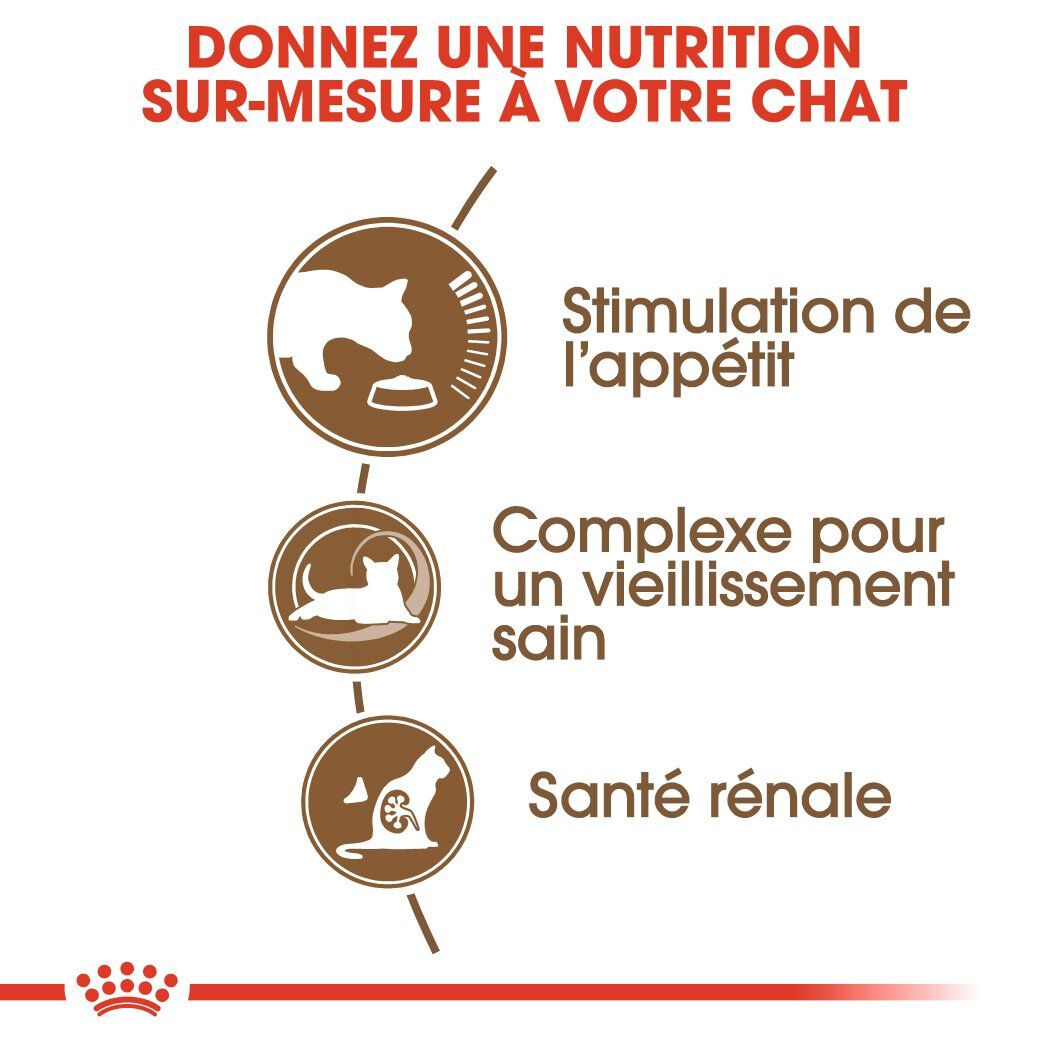 Royal Canin - Croquettes Ageing +12 pour Chat Senior - 2Kg Image num&eacute;ro 4