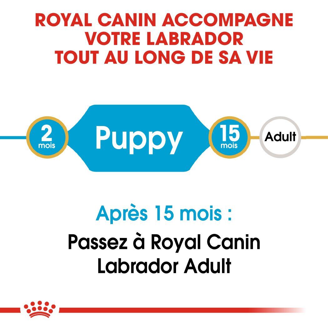 Royal Canin - Croquettes Labrador Junior pour Chiot - 12Kg Image num&eacute;ro 3