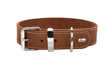 Hunter - Collier Aalborg Special en Cuir de Boeuf Cognac pour Chiens