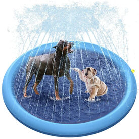 Summer Vibes - Tapis à Jet Bleu pour Chiens - 24,50cm