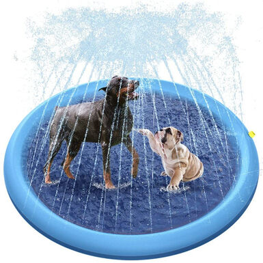 Summer Vibes - Tapis à Jet Bleu pour Chiens - 24,50cm