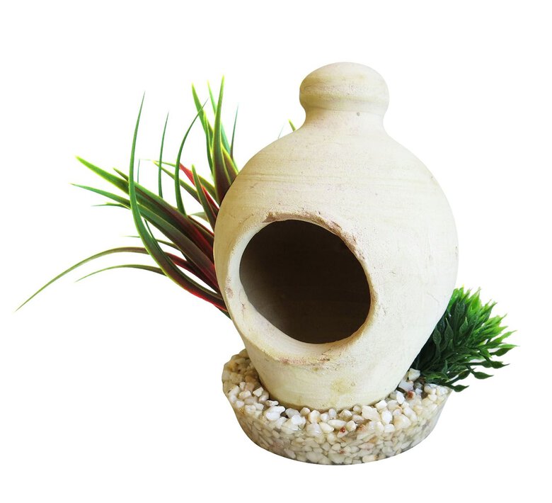 Sydeco - Décoration Plante Artificielle Maison Refuge pour Aquarium Image numéro 1 Sydeco - Décoration Plante Artificielle Maison Refuge pour Aquarium Image numéro 1