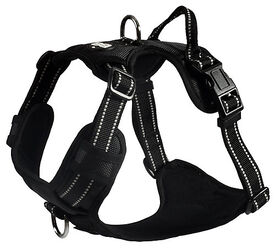 Bobby - Harnais Rando Walk Noir pour Chiens