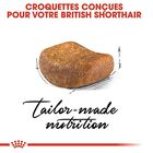 Royal Canin - Croquettes British Shorthair pour Chat Adulte - 2Kg image number null