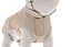 Ferribiella - Trench Prestige Doublure Beige pour Chien - 43cm Indicateur image numéro 4