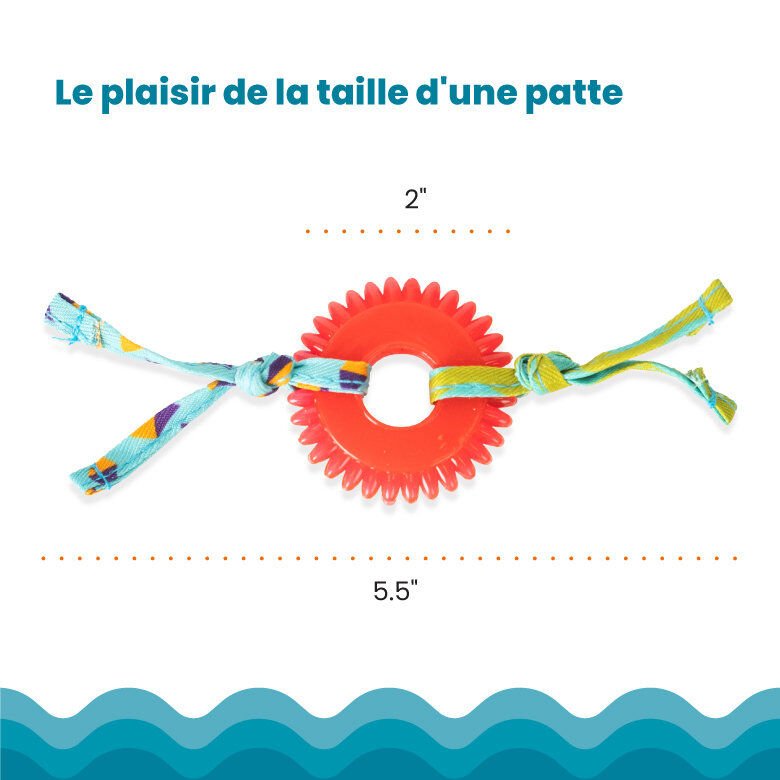 Outward Hound - Jouet &agrave; M&acirc;cher Kitty Chew Wheel pour Chats Image num&eacute;ro 2