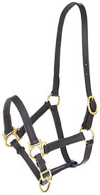 Covalliero - Licol Réglable Eco, cuir marron