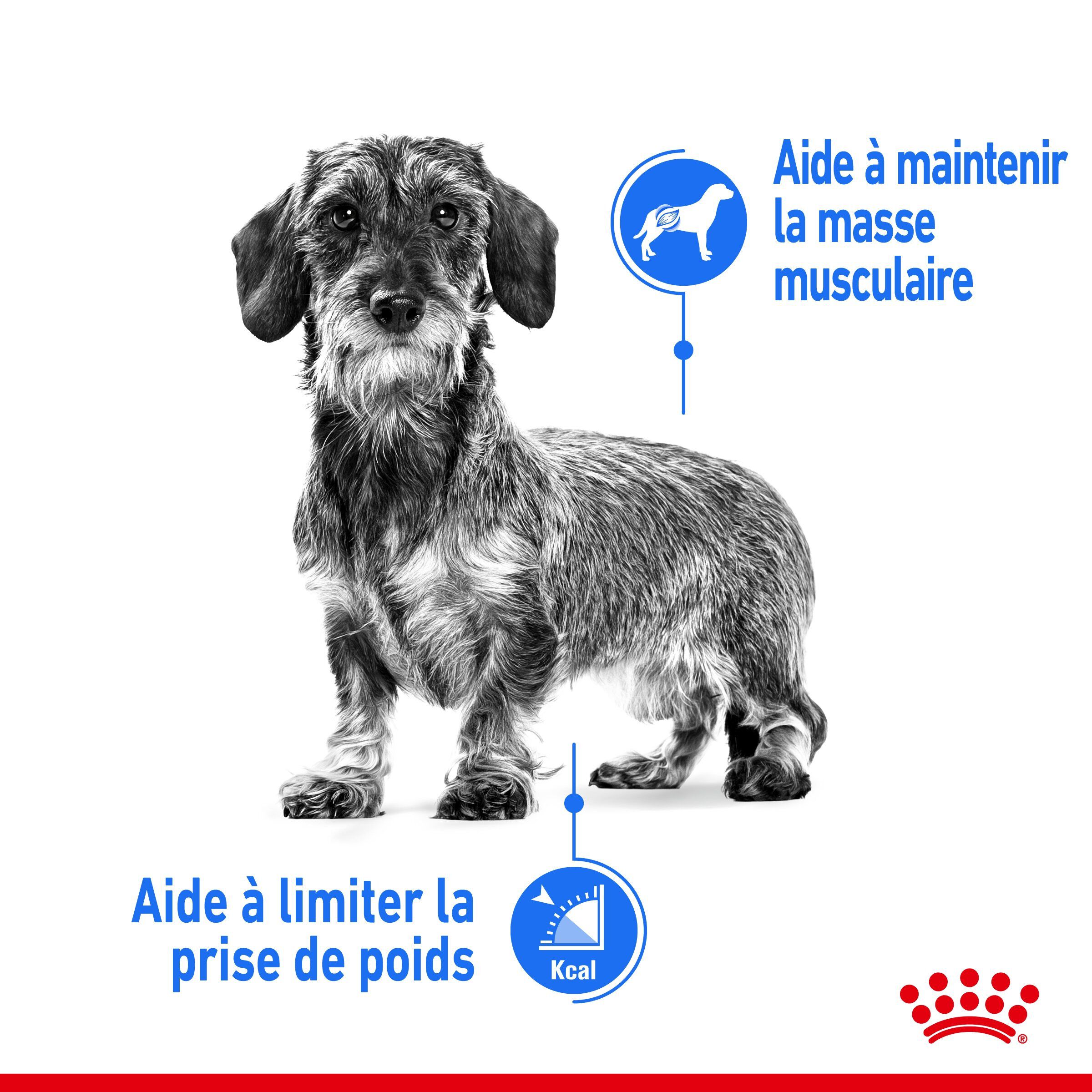 Royal Canin - Croquettes Mini Light Weight Care pour Chien - 3Kg Image num&eacute;ro 3
