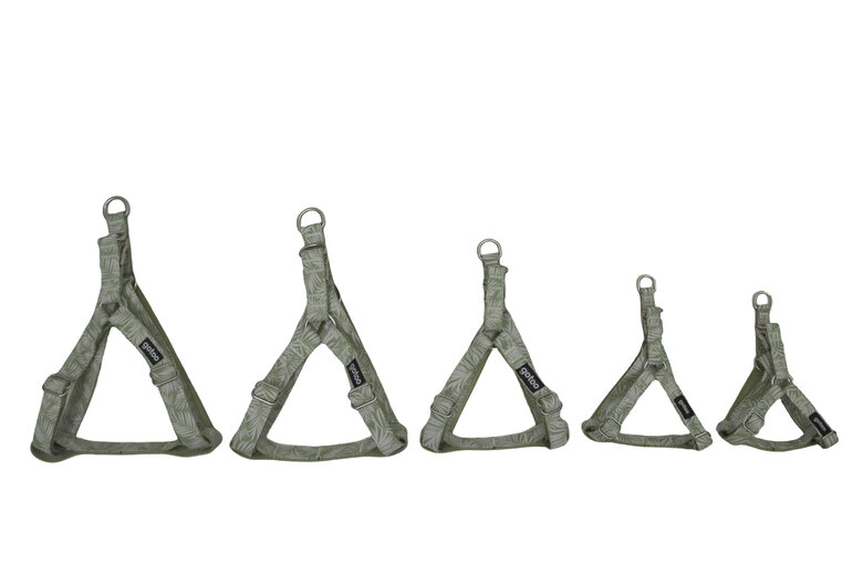 Gotoo - Harnais Feuilles Vert pour Chien - XS Image numéro 7 Gotoo - Harnais Feuilles Vert pour Chien - XS Image numéro 7