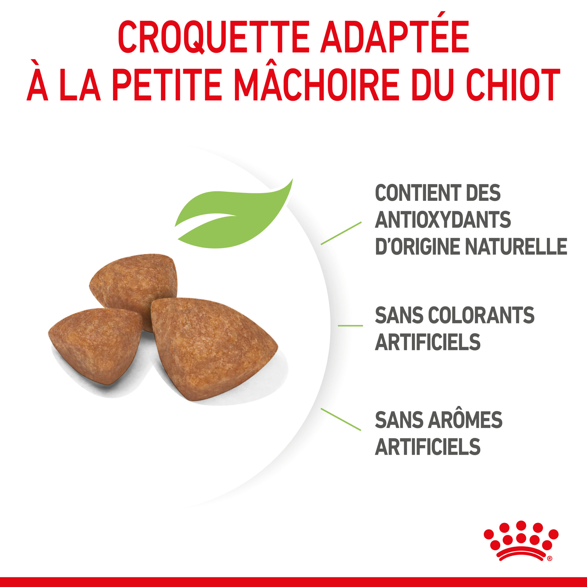 Royal Canin - Croquettes X-Small Puppy pour Chiots de 2 &agrave; 10 Mois - 500g Image num&eacute;ro 5