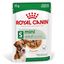 Royal Canin - Sachets Mini Adult en Sauce pour Chien - 12X85g Indicateur image numéro 2