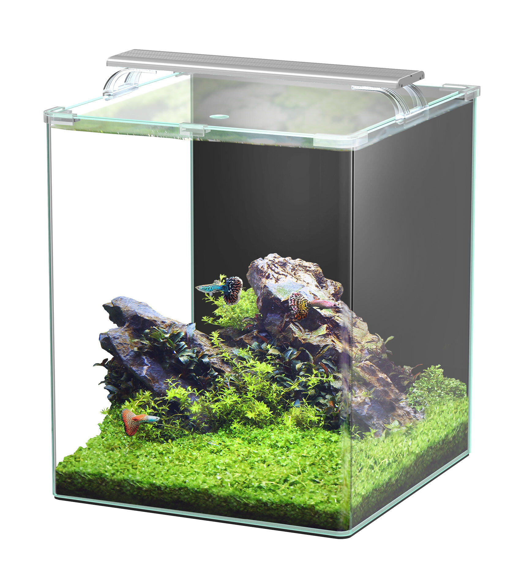 Aquatlantis - Aquarium Kubus Curve 65L - Essential Image num&eacute;ro 1