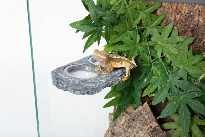 Reptizoo - Mangeoire Magnétique Double "Pierre" - 18x9,2x2,8cm Image numéro 2 Reptizoo - Mangeoire Magnétique Double "Pierre" - 18x9,2x2,8cm Image numéro 2