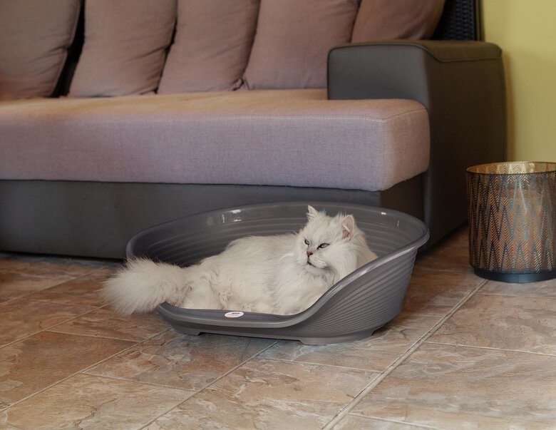 Ferplast - Corbeille Siesta Deluxe 4 Dark Grey pour Chiens Image numéro 7 Ferplast - Corbeille Siesta Deluxe 4 Dark Grey pour Chiens Image numéro 7