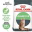 Royal Canin - Croquettes Digestive Care pour Chat - 10Kg Indicateur image numéro 1