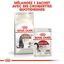 Royal Canin - Croquettes Senior Sterilised 12+ pour Chat Senior - 2 Kg Indicateur image numéro 7