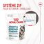 Royal Canin - Aliment complémentaire Adult Joint & Agieing Chews pour Chiens - 240g Indicateur image numéro 10