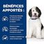 Hill's - Croquettes Prescription Diet C/D Urinary Care pour Chiens - 1,5Kg Indicateur image numéro 3