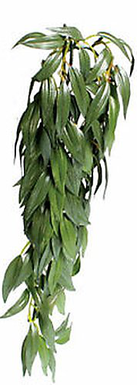 Exo Terra - Feuillage Décoratif Ruscus Plante pour Terrarium - 41cm