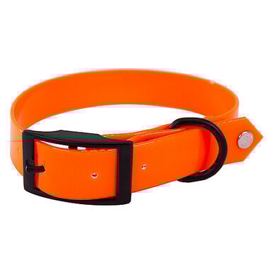 Arka - Collier de Chasse Fluo Orange pour Chiens