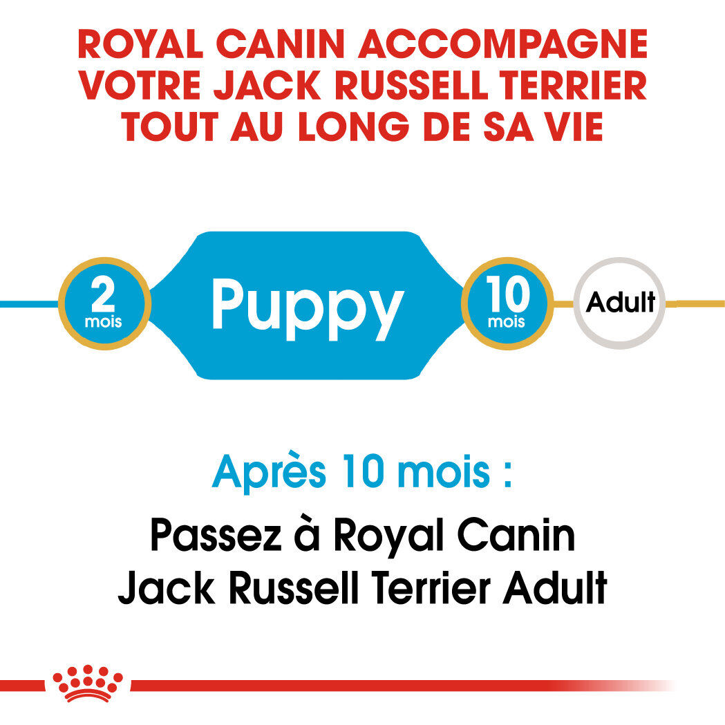 Royal Canin - Croquettes Jack Russell Junior - 3Kg Image num&eacute;ro 6