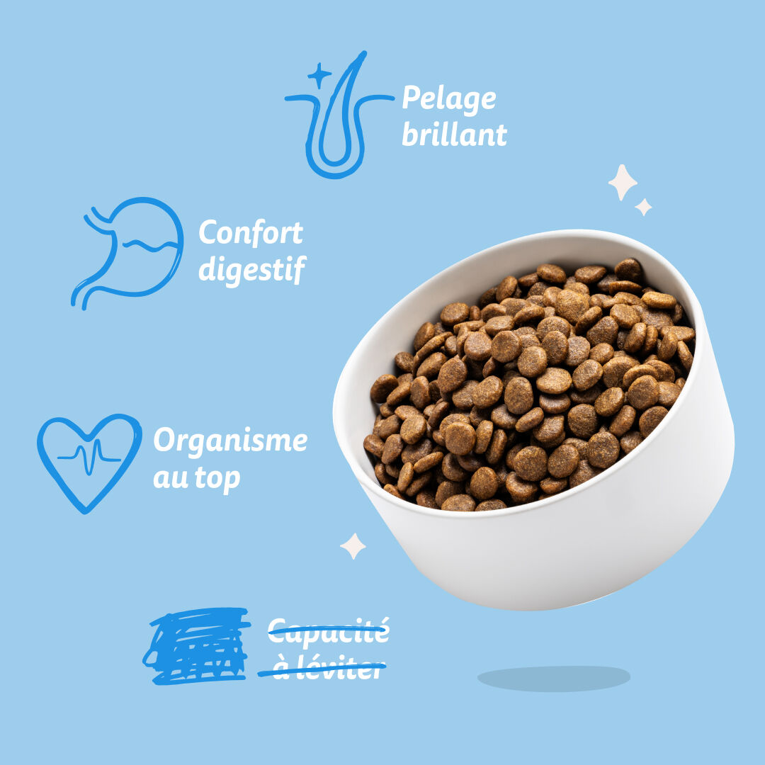 Edgard & Cooper - Croquettes au Saumon pour Chien - 2,5Kg Image num&eacute;ro 12