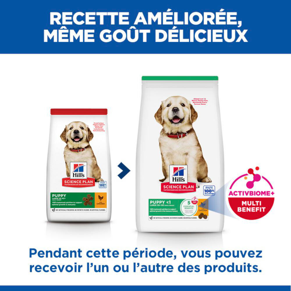 Hill's Science Plan - Puppy Croquettes Pour Chiot De Grande Taille Au Poulet  - 16kg Image num&eacute;ro 6