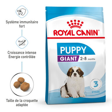 Royal Canin - Croquettes Giant Puppy pour Chiot