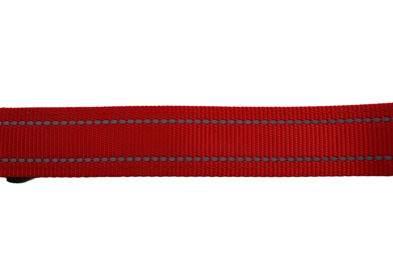 Gotoo - Collier Essentials en Nylon Premium Rouge pour Chien - XS Image numéro 6 Gotoo - Collier Essentials en Nylon Premium Rouge pour Chien - XS Image numéro 6