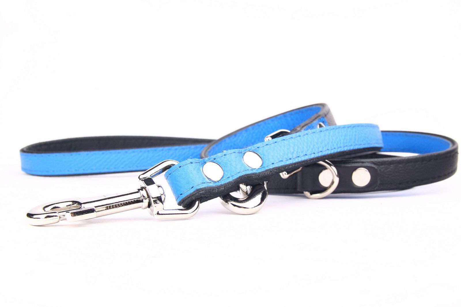 Yogipet - Laisse Ajustable pour Chien Bleu - 1,6/220cm Image num&eacute;ro 3