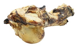 Bubimex - Os de Mammouth à Mâcher au Bœuf pour Chien - 1,1Kg