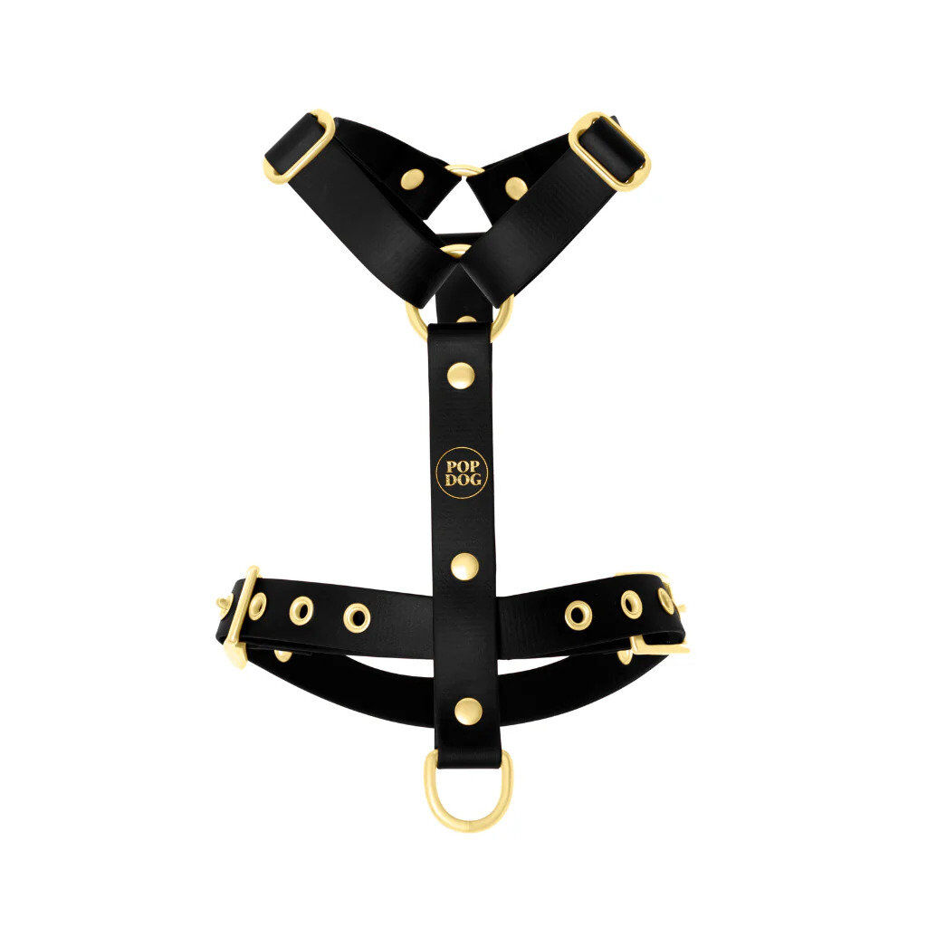 Pop Dog - Harnais &agrave; &oelig;illets Badass Noir pour Chiens - S Image num&eacute;ro 1