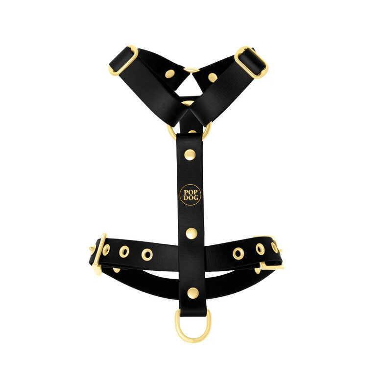 Pop Dog - Harnais à œillets Badass Noir pour Chiens - S Image numéro 1 Pop Dog - Harnais à œillets Badass Noir pour Chiens - S Image numéro 1