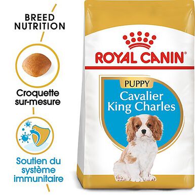 Royal Canin - Croquettes Cavalier King Charles Junior pour Chiot - 1,5Kg