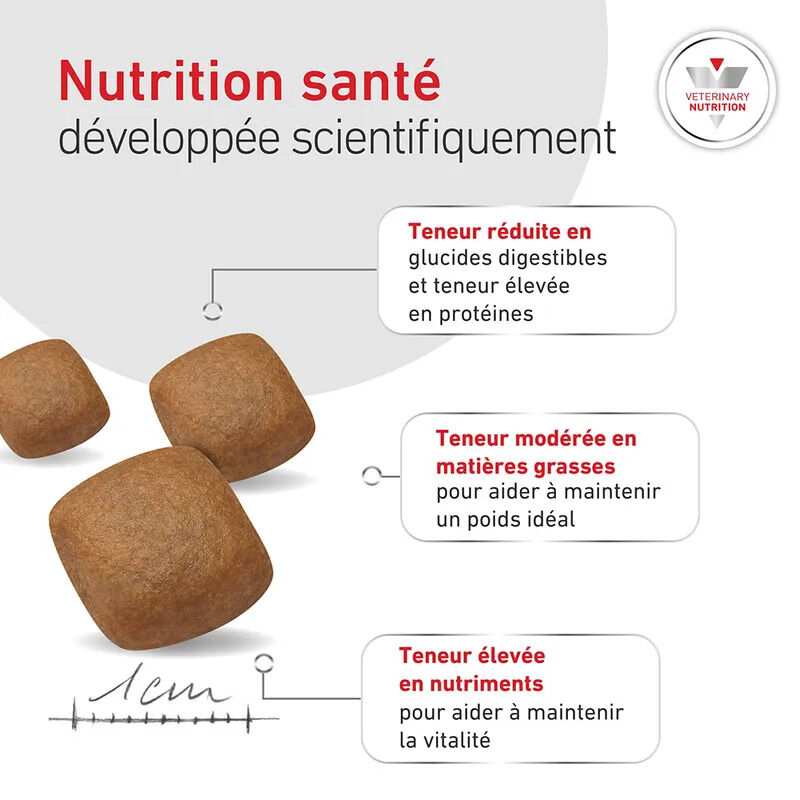 Royal Canin - Croquettes Veterinary Glycobalance Diabetic pour Chien - 12Kg Image num&eacute;ro 9