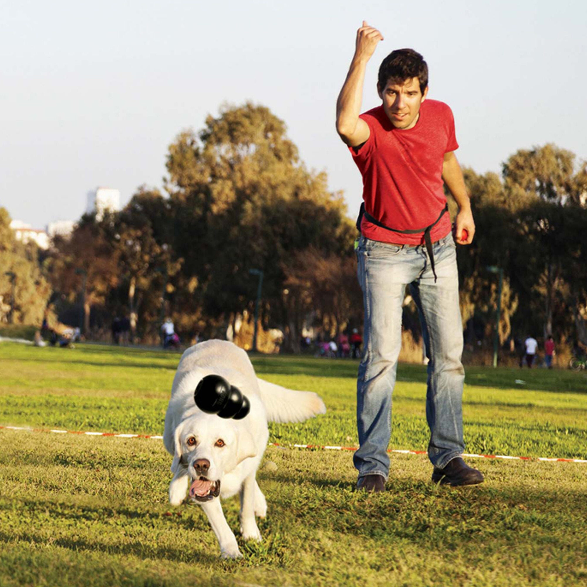 KONG - Jouet Extreme pour Chien - S Image num&eacute;ro 4