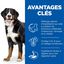 HILL'S SCIENCE PLAN Aliment pour Chien Adulte Mature 5+ de Grande Race Senior Vitality au Poulet et au Riz 12kg Indicateur image numéro 3