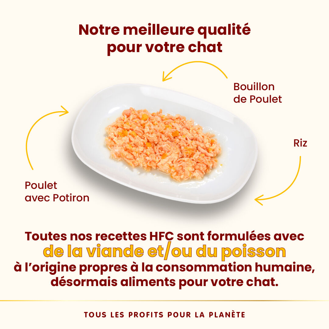 Almo Nature - P&acirc;t&eacute;e en Bo&icirc;te HFC Natural Poulet avec Potiron pour Chat - 70g Image num&eacute;ro 3