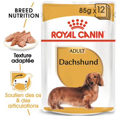 Royal Canin - Pâtée en mousse DACHSHUND ADULT pour Chiens - 12X85G
