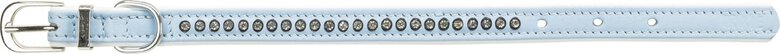 Trixie - Collier En Cuir Strass Bleu XXS-XS pour Chien - 17cm Image numéro 1 Trixie - Collier En Cuir Strass Bleu XXS-XS pour Chien - 17cm Image numéro 1