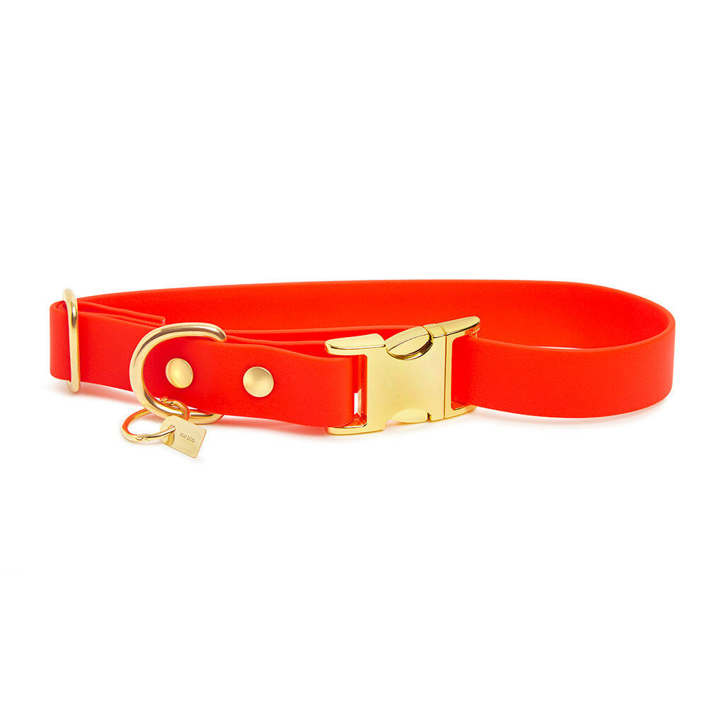 Pop Dog - Collier Foufou Orange pour Chien - S Image num&eacute;ro 2