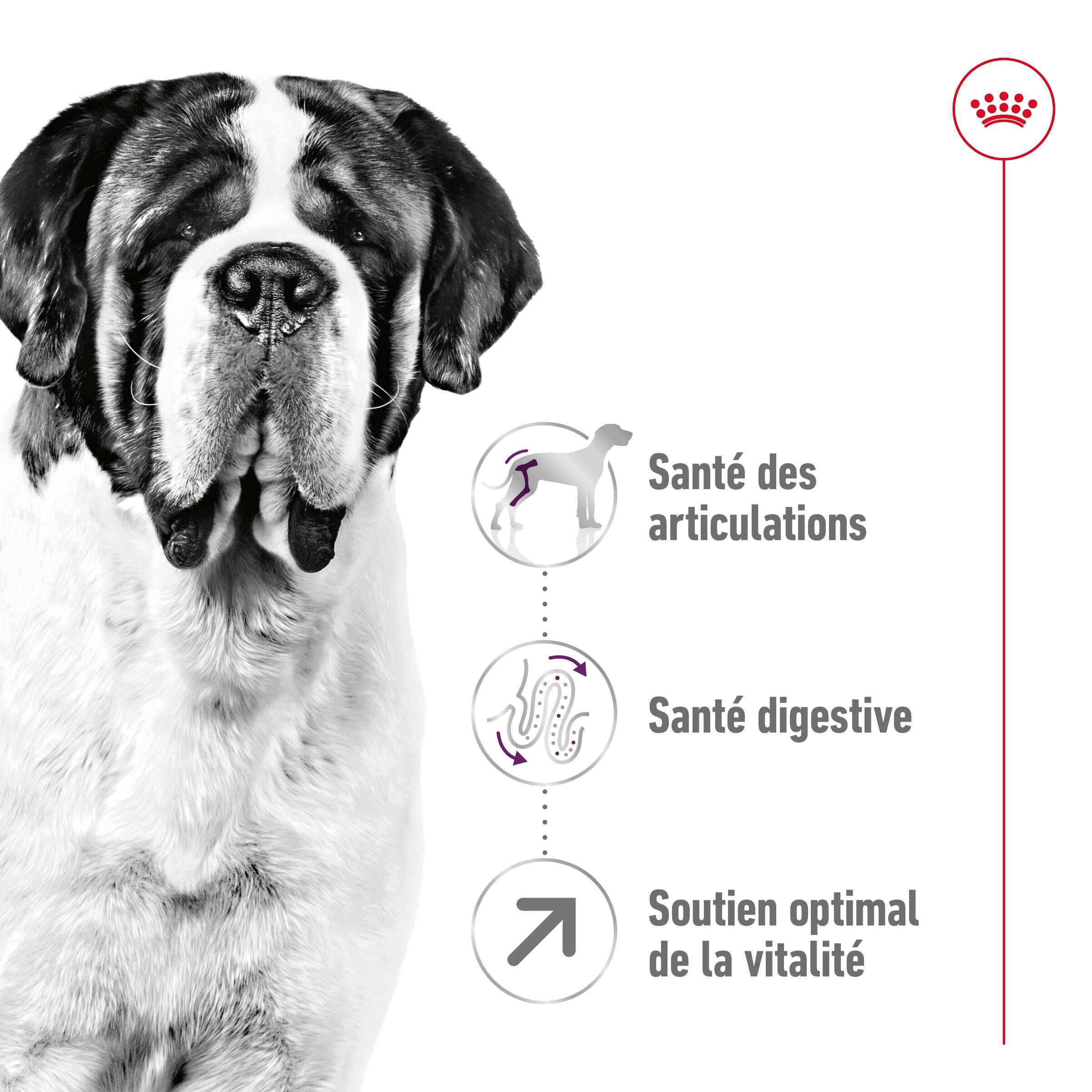 Royal Canin - Croquettes Giant Adult &agrave; Partir de 18/24 mois pour Chien - 15Kg Image num&eacute;ro 3