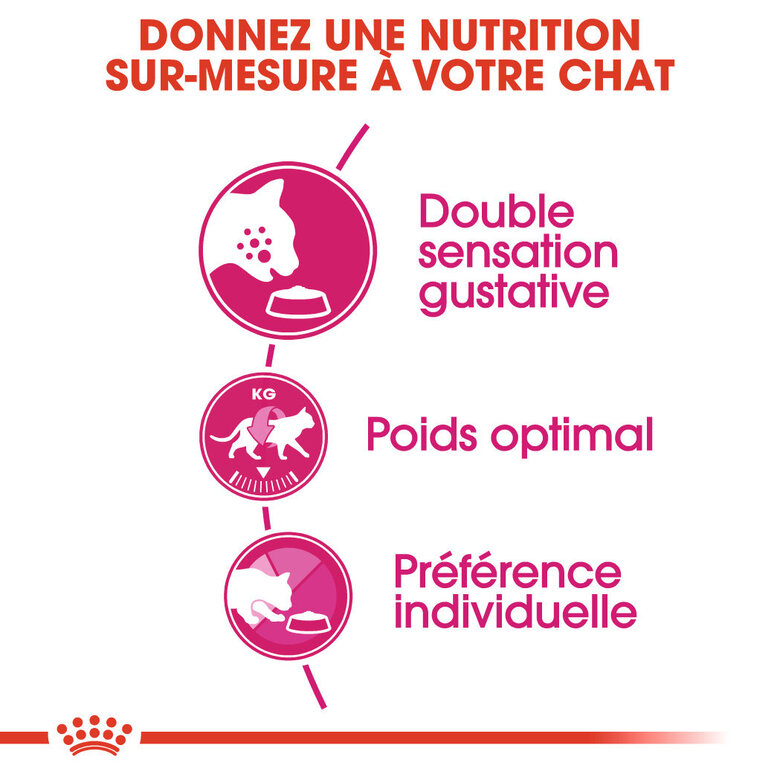 Royal Canin - Croquettes Savour Exigent pour Chats Difficiles - 10Kg Image numéro 2 Royal Canin - Croquettes Savour Exigent pour Chats Difficiles - 10Kg Image numéro 2