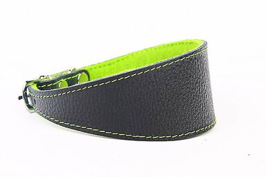 Yogipet - Collier en Cuir Lévrier pour Chien Vert