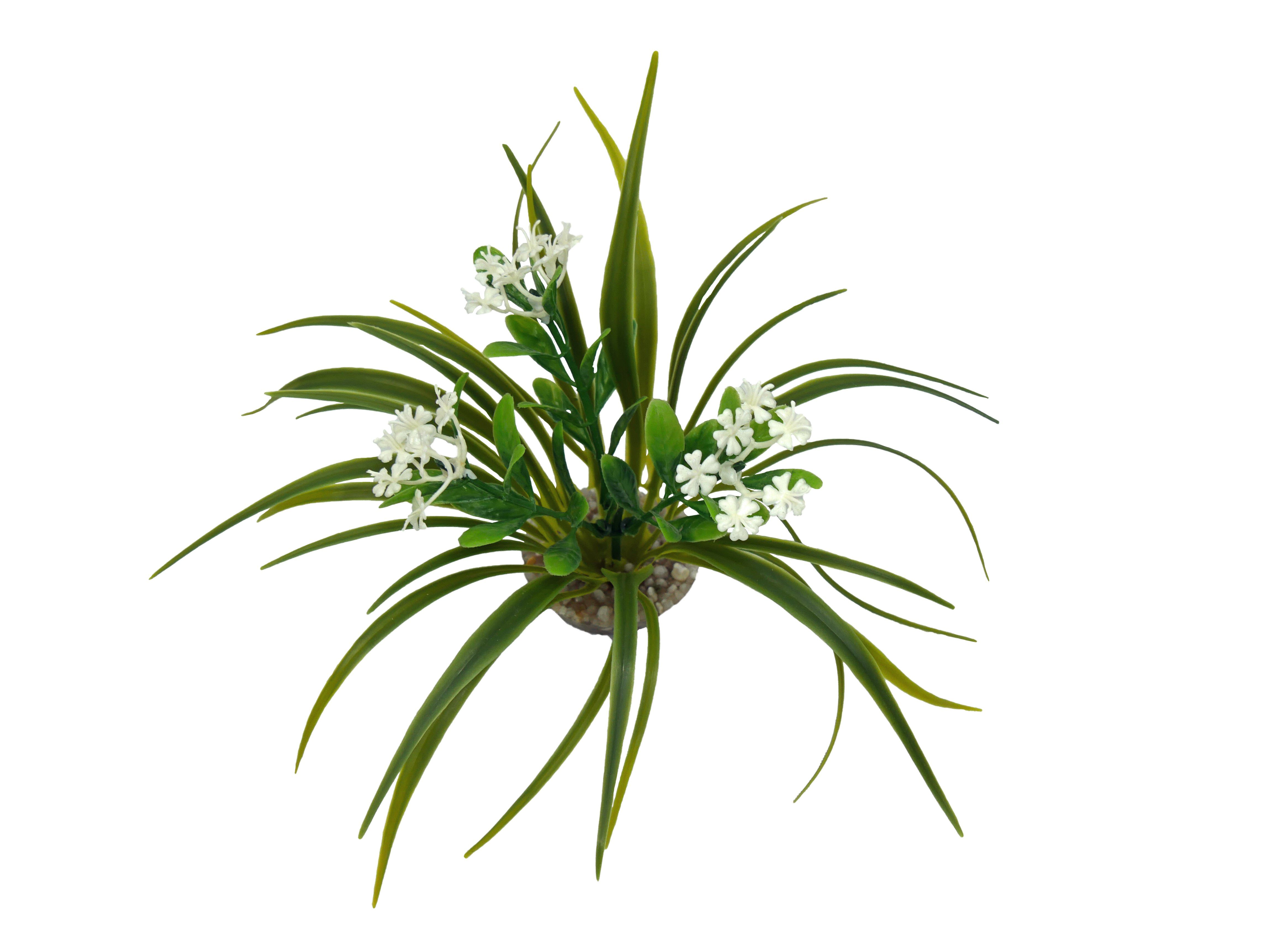 Labeo - D&eacute;coration Corolle Fleurie pour Terrarium Image num&eacute;ro 1